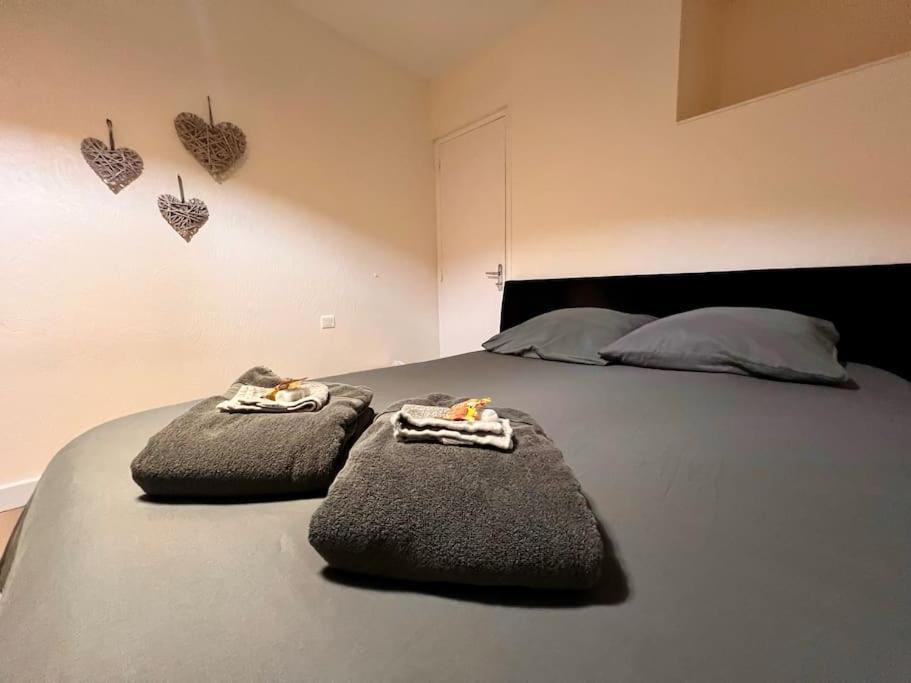 Appartement Climatise 4Prsn Au Pied De La Citadelle Besançon Buitenkant foto