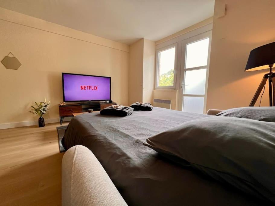 Appartement Climatise 4Prsn Au Pied De La Citadelle Besançon Buitenkant foto